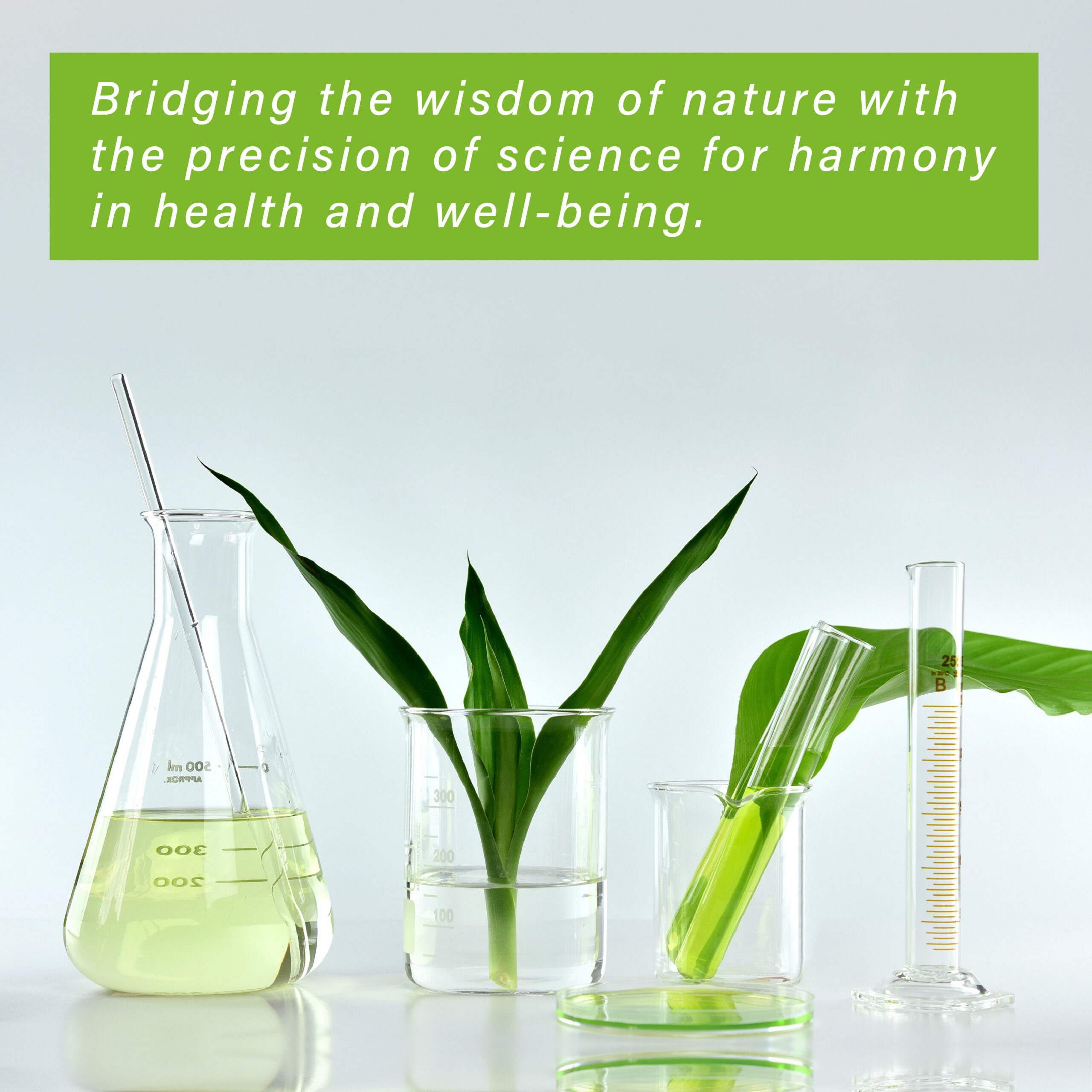 Bridging the wisdom of nature with the precision of science
